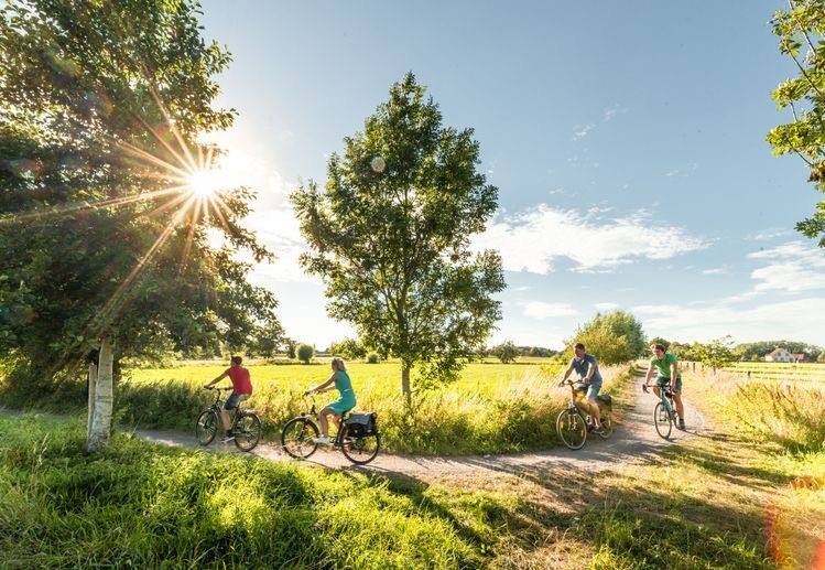 Showroom Bus vol Bikes met e-bikes